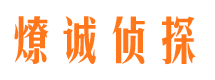 阳朔市调查公司